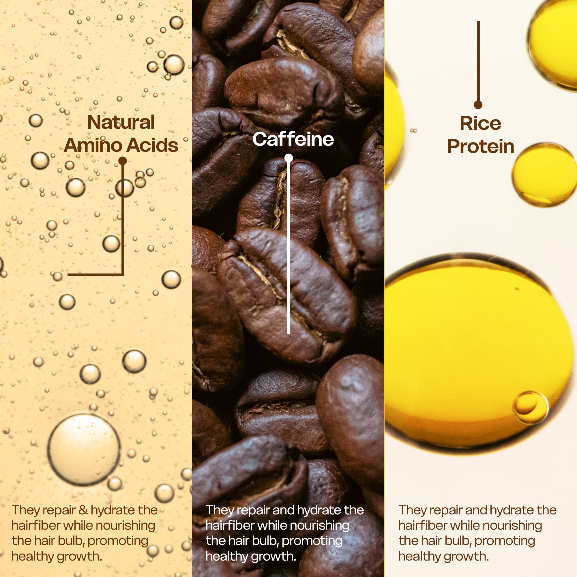 Coffee Therapy Hair Growth Shampoo - Women & Men (24 Sachets)